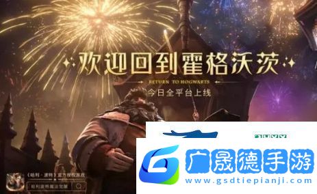 哈利波特魔法覺(jué)醒針對(duì)龍蛋流怎么配