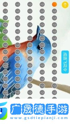 成語(yǔ)飛花令