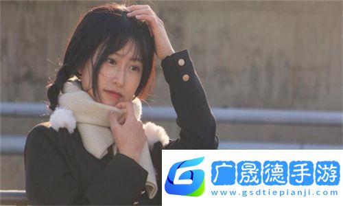 如何進(jìn)行EHVIEWER下載