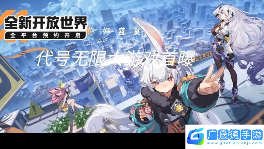 代號(hào)無限大