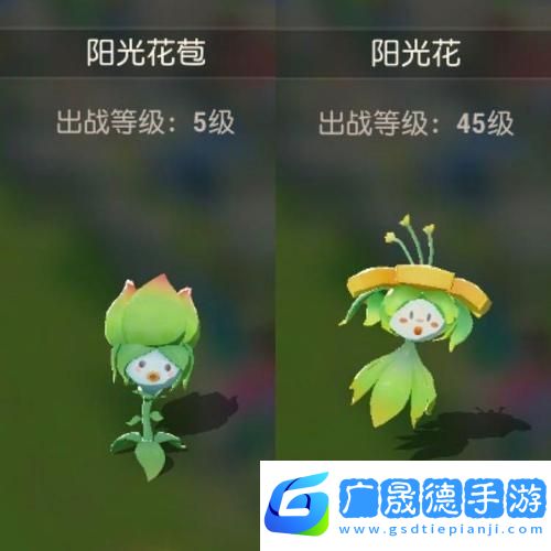 海島紀(jì)元寵物騎乘證獲取全攻略