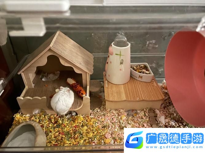 我給倉(cāng)鼠蓋別墅2