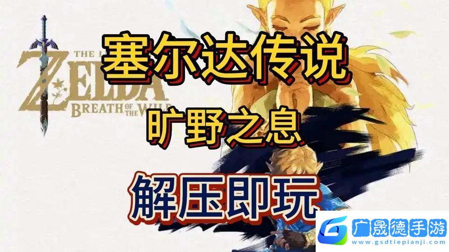 百萬(wàn)塞爾達(dá)迷思